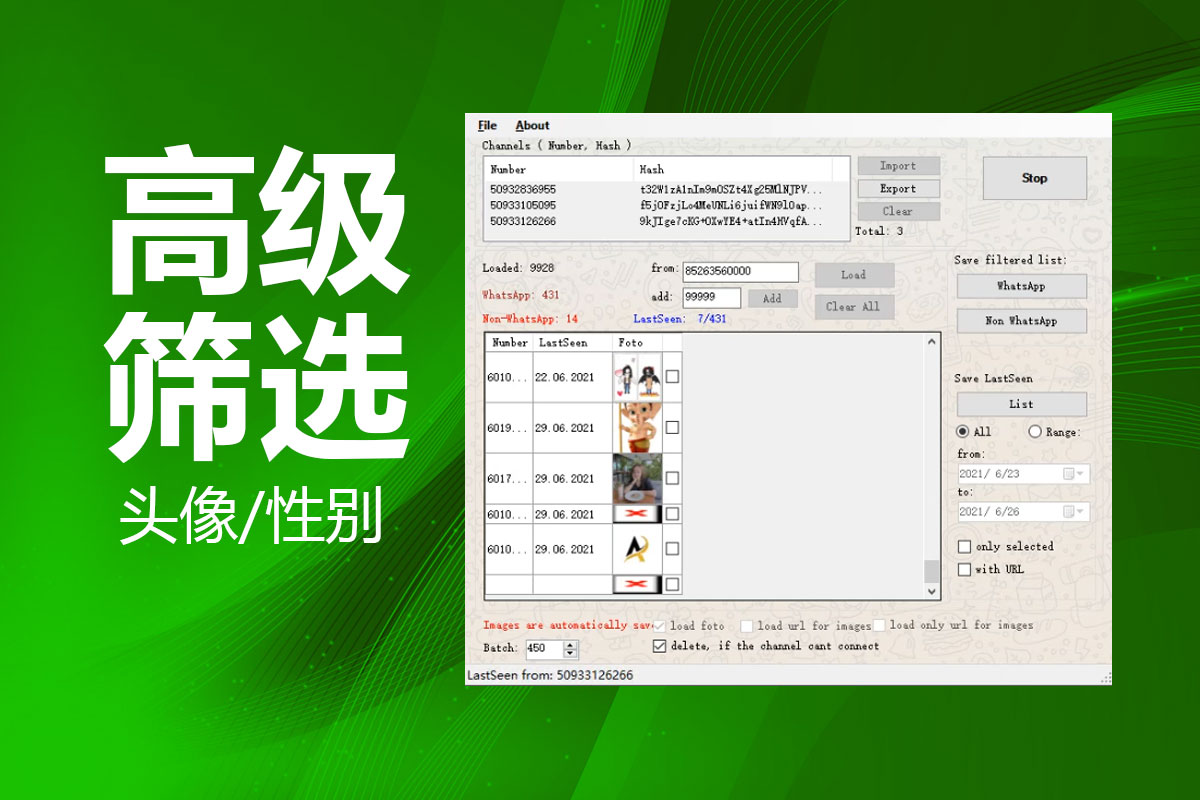 WhatsApp高级筛选软件数据导出界面