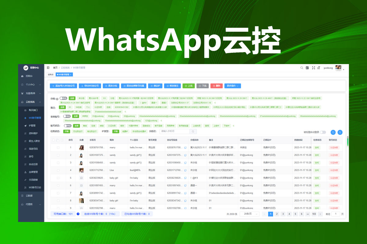 WhatsApp云控群发功能界面,多格式消息发送演示