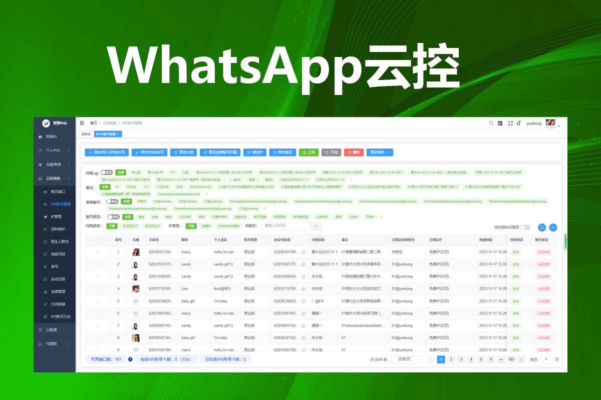 WhatsApp云控系统界面展示,多账号管理控制台