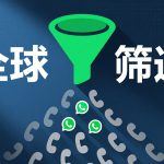 WhatsApp初级筛选软件：快速过滤有效用户的高效工具