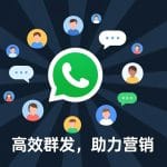 WhatsApp协议群发软件：外贸营销的高效解决方案